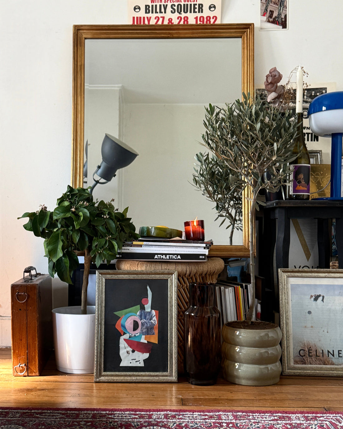 Arbre ou plante d’intérieur en cadeau : comparaison entre deux présents symboliques, durables et vivants à offrir