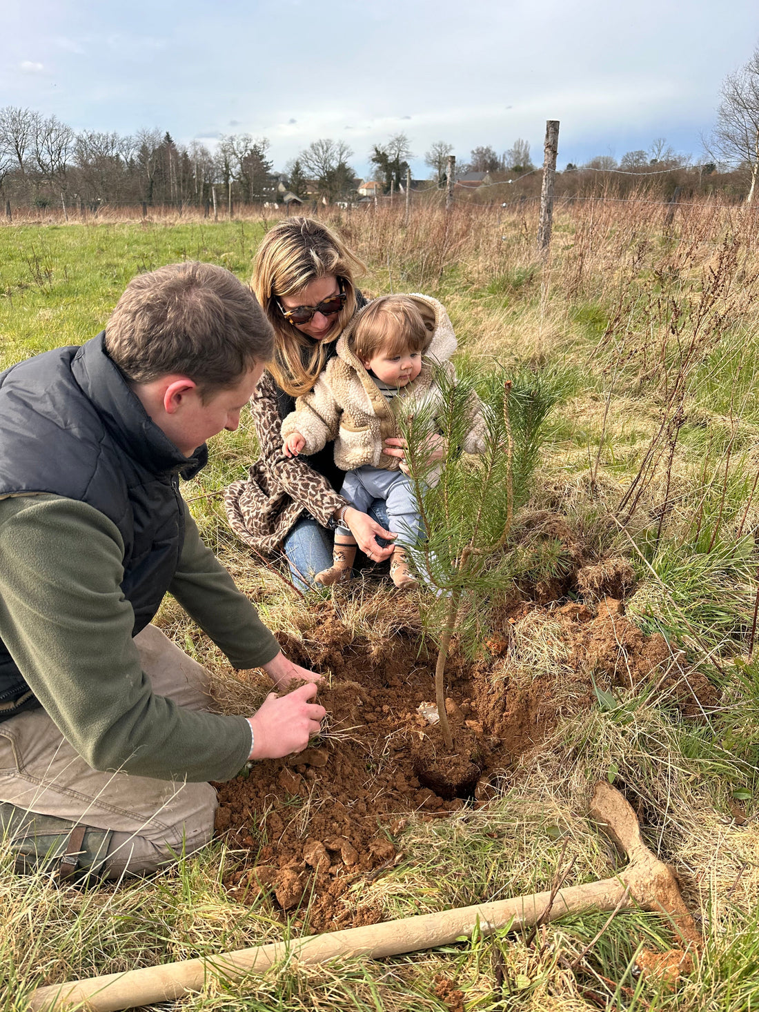 Préparation du sol avant la plantation d’un arbre en pleine terre avec compost et terreau