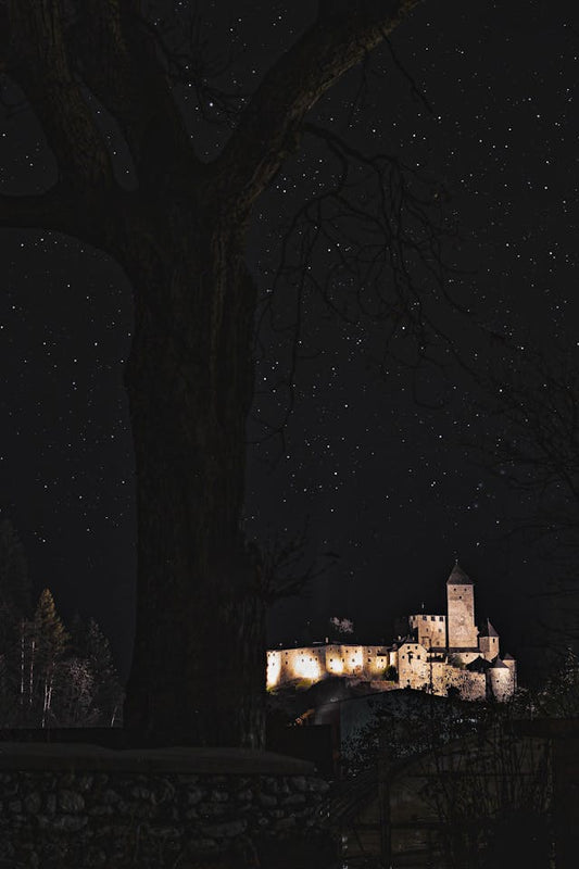 Illustration des arbres astrologiques correspondant aux 12 signes du zodiaque, symbole entre nature et astrologie