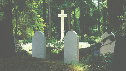 Cimetière arboré avec arbres hommages et fleurs de deuil – Un cadre paisible pour honorer la mémoire des défunts avec un cadeau de deuil durable.