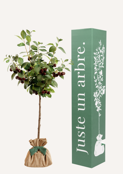 Un cerisier à offrir – idée cadeau symbolique pleine de poésie et de renouveau